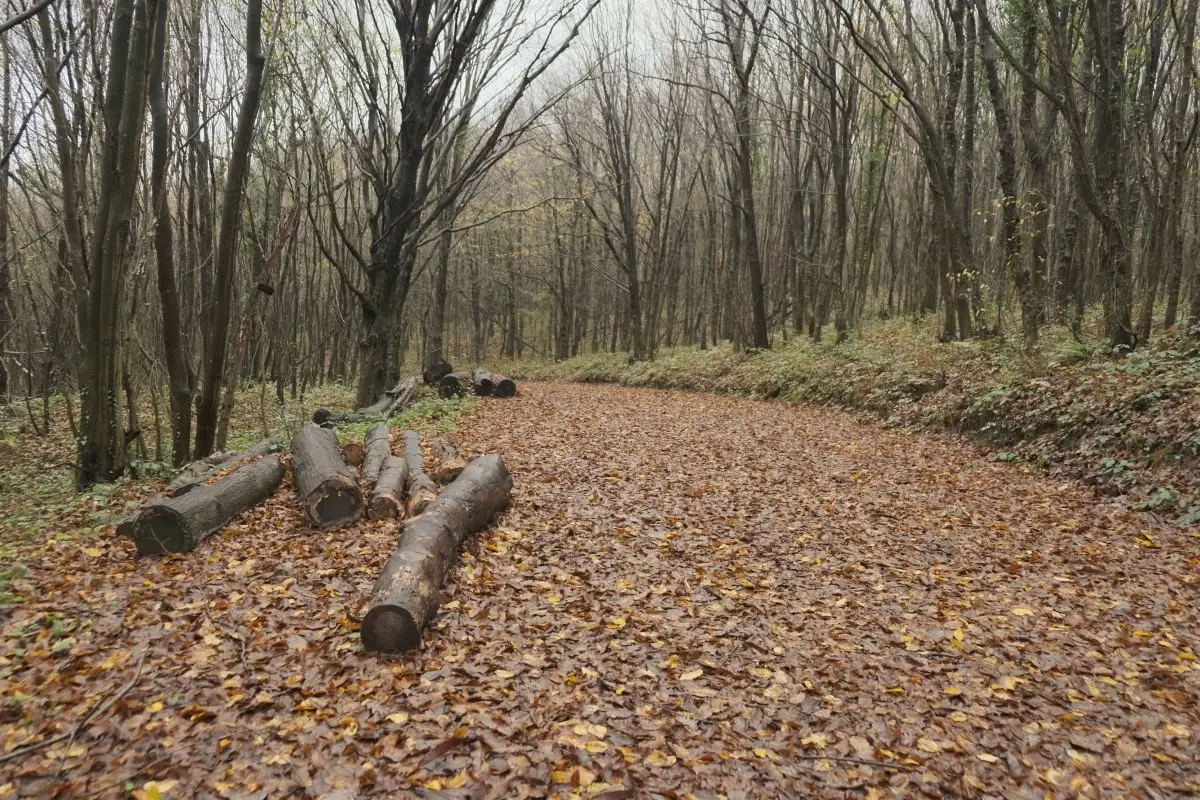 ataturk_arboretum_istanbul